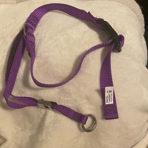 Gentle Leader headcollar for dogs, M, purple